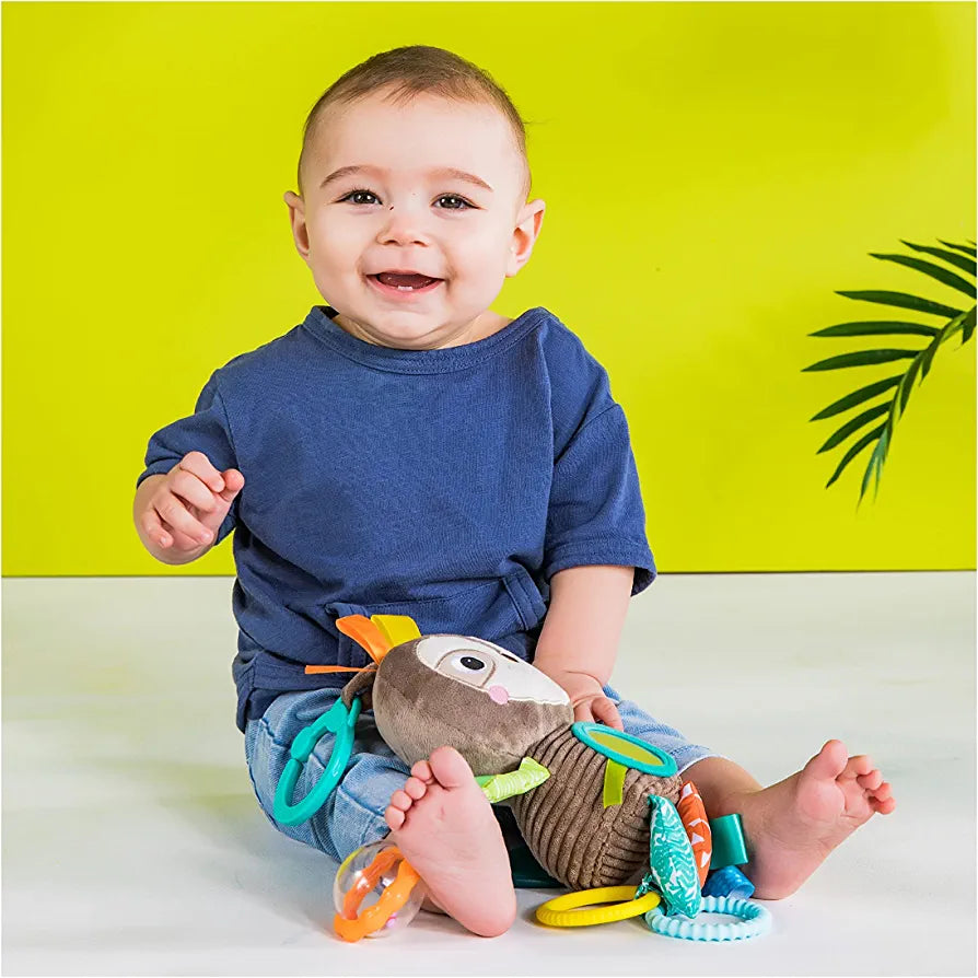 Bright Starts Playful Pals Take Along Activity Toy, Sloth, Newborn +