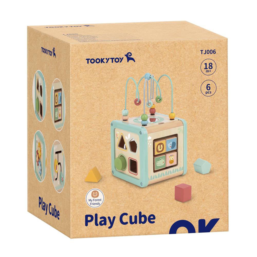 Tooky Toy Play Cube