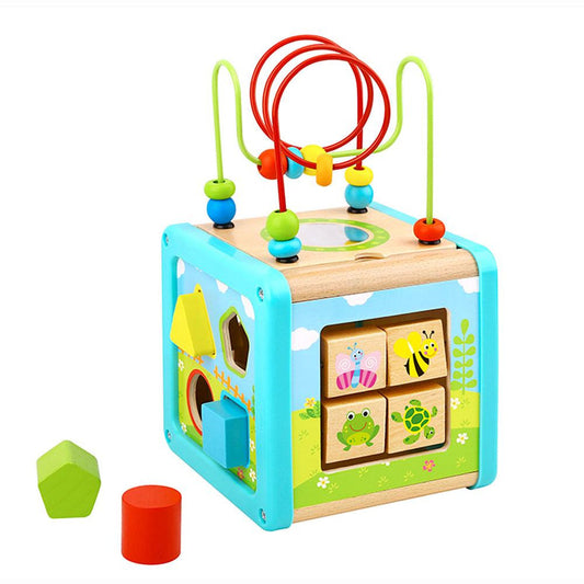 Tooky Toy Wooden Activity Cube