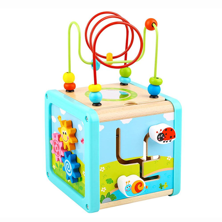 Tooky Toy Wooden Activity Cube