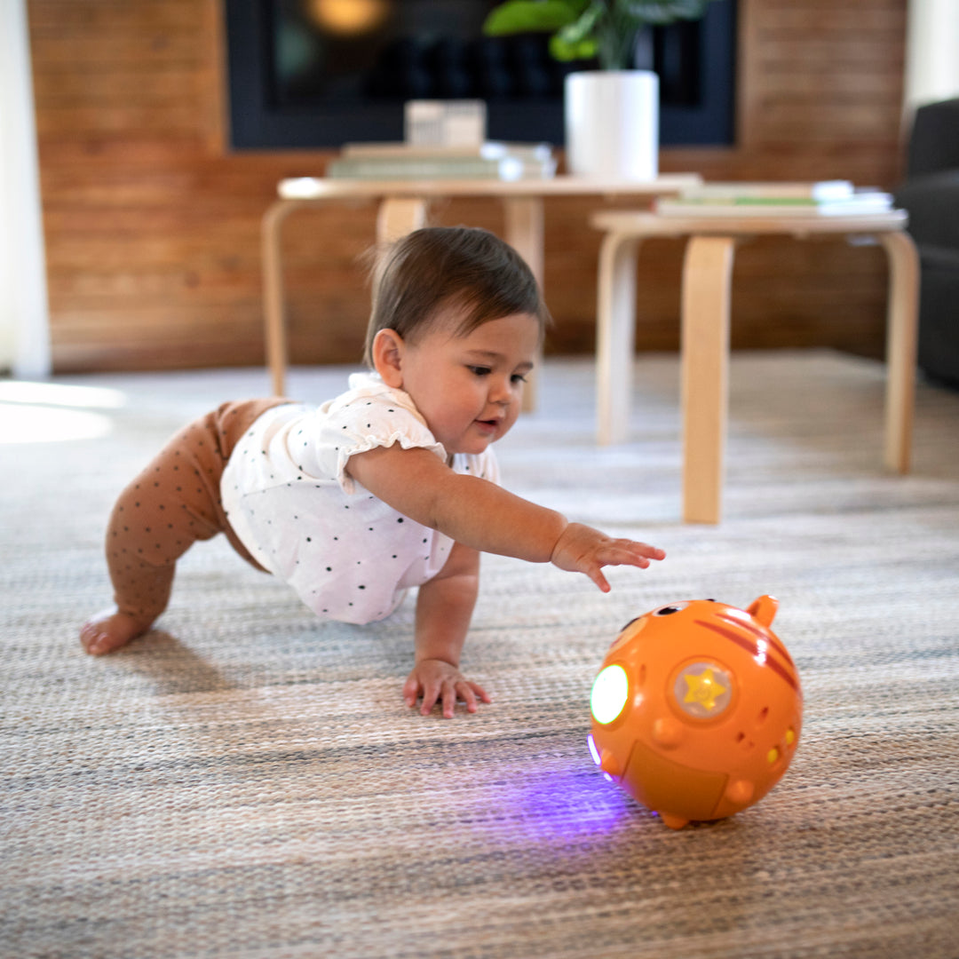 Baby Einstein Tinkers Crawl Along Songs Tummy-Time Musical Toy