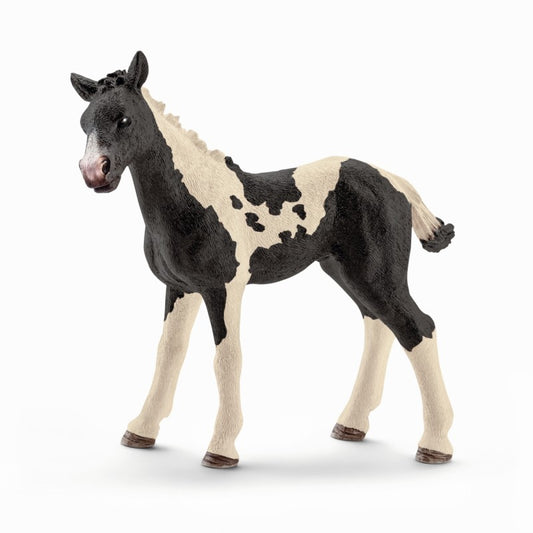 Schleich Pinto foal (13803)