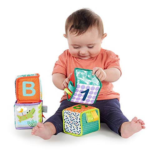 Bright Starts Grab & Stack Blocks